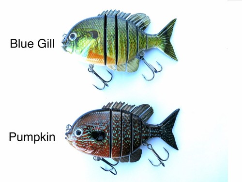 Inch blue gill fishing - 4,